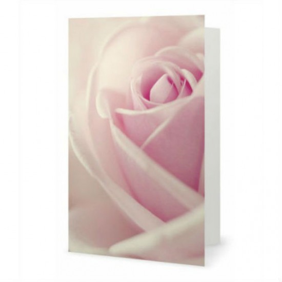 The Rose