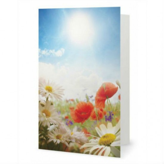 Field Flowers